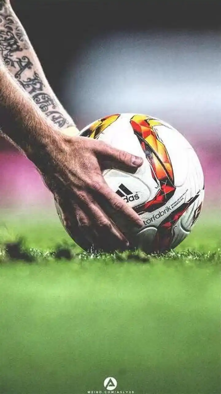 选择了最为 选择了最为