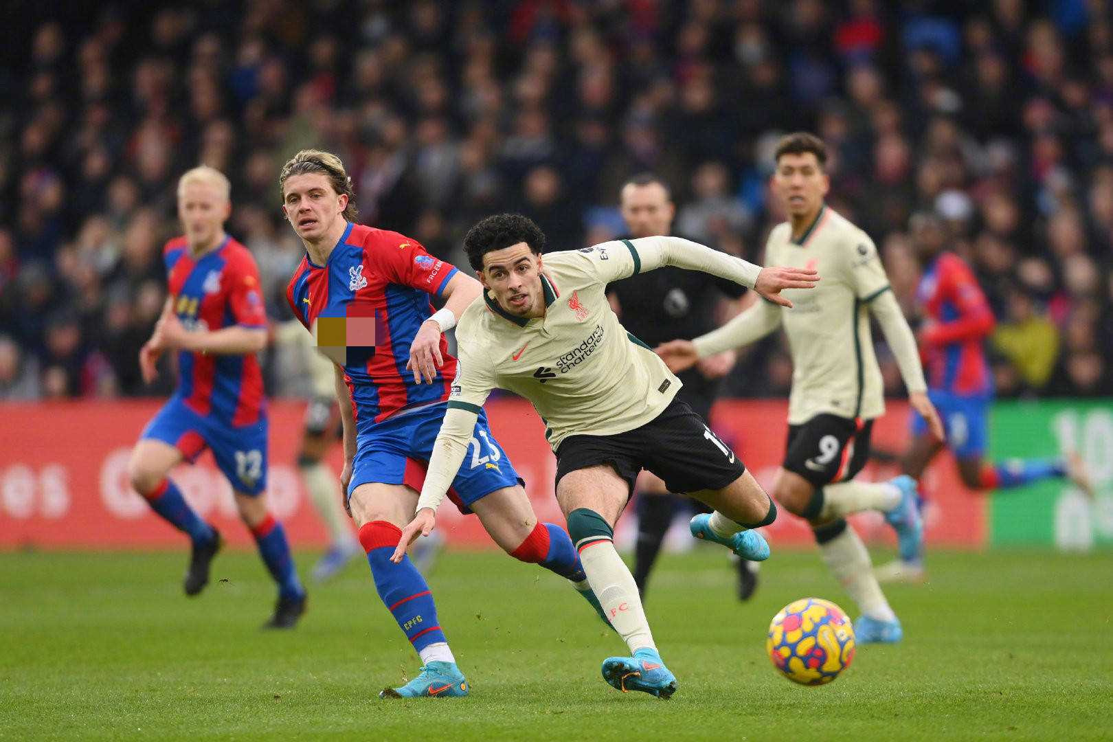 雪质上乘 雪质上乘