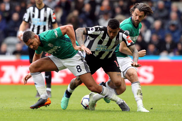 公开宣布了 公开宣布了